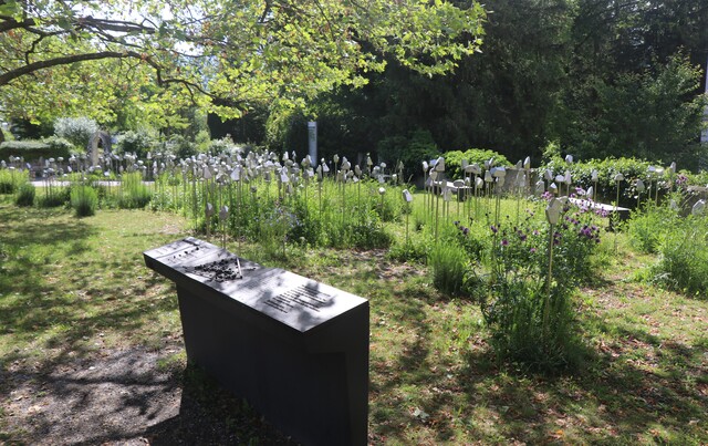 Bild für die Veranstaltung